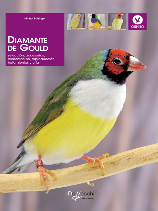 Title details for Diamante de Gould by Dr. Michel Bolzinger - Available